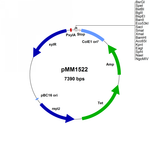BMEG10 Vector Map
